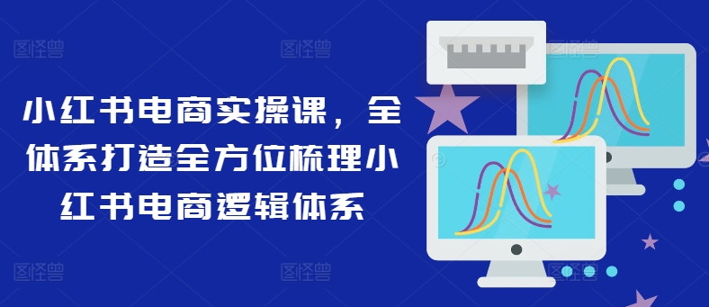 小红书电商实操课，全体系打造全方位梳理小红书电商逻辑体系-第二象限