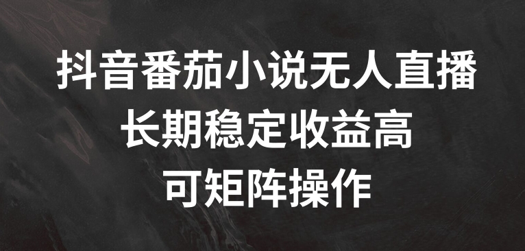 抖音番茄小说无人直播，长期稳定收益高，可矩阵操作【揭秘】-第二象限