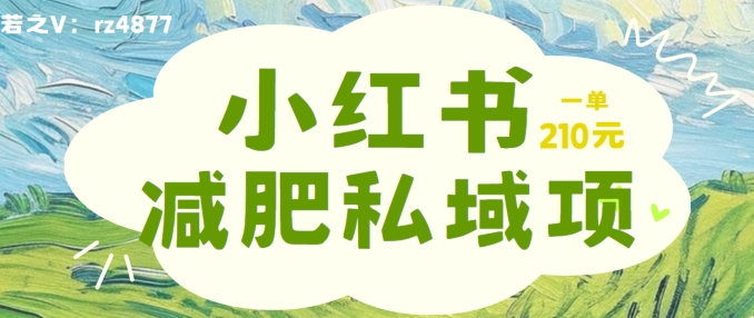 小红书减肥粉，私域变现项目，一单就达210元，小白也能轻松上手【揭秘】-第二象限