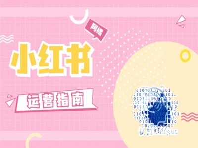 小红书运营指南，没有套路，全是经验-第二象限