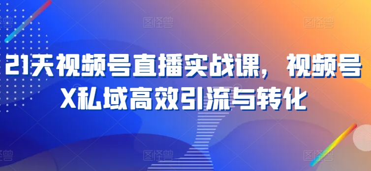 21天视频号直播实战课，视频号X私域高效引流与转化-第二象限