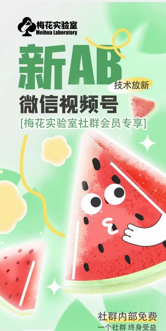 梅花实验室2024年AB技术视频号AB合成破解版-第二象限