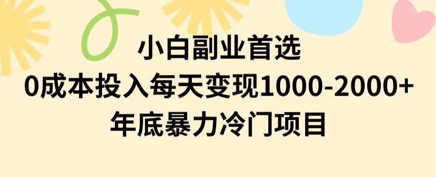 小白副业首选，0成本投入，每天变现1000-2000年底暴力冷门项目【揭秘】-第二象限