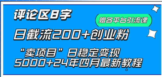 抖音评论区8字日截流200+创业粉 “卖项目”日稳定变现5000+【揭秘】-第二象限