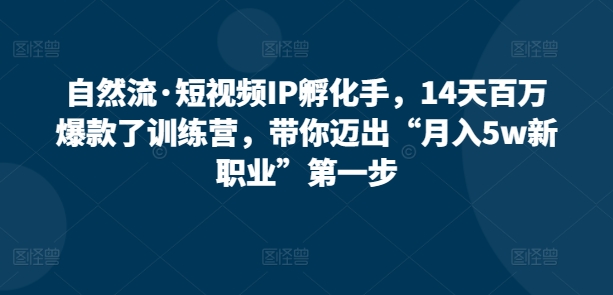 自然流·短视频IP孵化手，14天百万爆款了训练营，带你迈出“月入5w新职业”第一步-第二象限