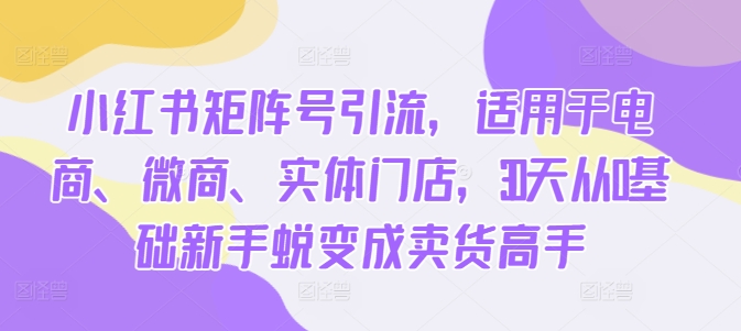 小红书矩阵号引流，适用于电商、微商、实体门店，30天从0基础新手蜕变成卖货高手-第二象限