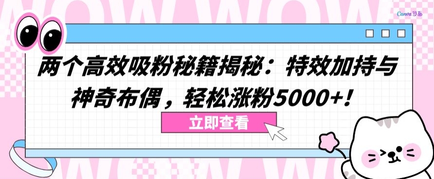 两个高效吸粉秘籍揭秘：特效加持与神奇布偶，轻松涨粉5000+【揭秘】-第二象限