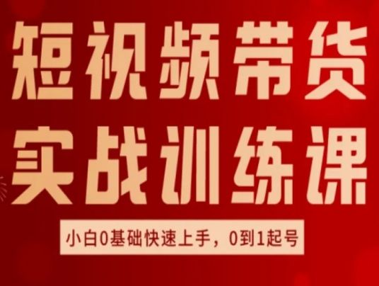 短视频带货实战训练课，好物分享实操，小白0基础快速上手，0到1起号-第二象限