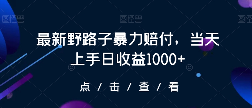 最新野路子暴力赔付，当天上手日收益1000+【仅揭秘】-第二象限