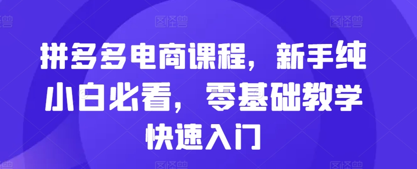 拼多多电商课程，新手纯小白必看，零基础教学快速入门-第二象限