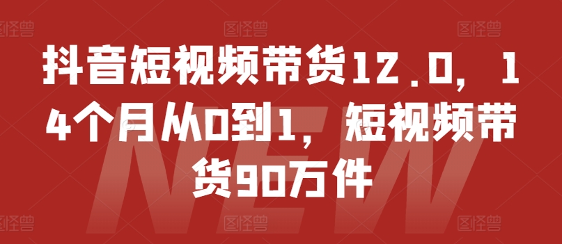 抖音短视频带货12.0，14个月从0到1，短视频带货90万件-第二象限