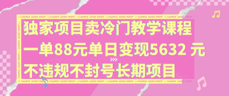 独家项目卖冷门教学课程一单88元单日变现5632元违规不封号长期项目【揭秘】-第二象限