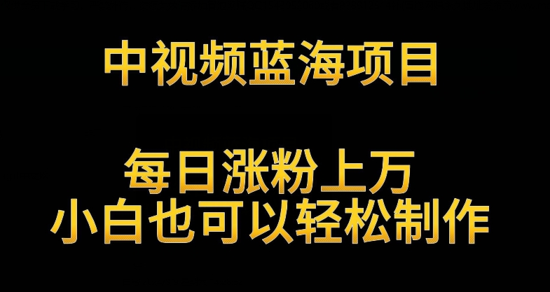 中视频蓝海项目，解读英雄人物生平，每日涨粉上万，小白也可以轻松制作，月入过万不是梦【揭秘】-第二象限