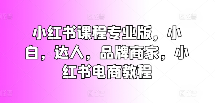 小红书课程专业版，小白，达人，品牌商家，小红书电商教程-第二象限