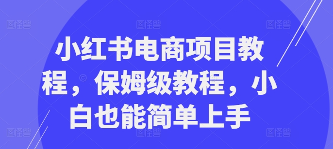 小红书电商项目教程，保姆级教程，小白也能简单上手-第二象限
