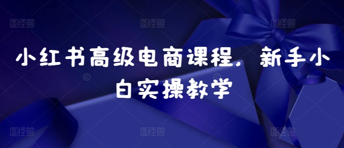 小红书高级电商课程，新手小白实操教学-第二象限