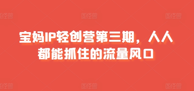 宝妈IP轻创营第三期，人人都能抓住的流量风口-第二象限