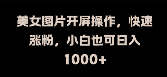 美女图片开屏操作，快速涨粉，小白也可日入1k【揭秘】-第二象限