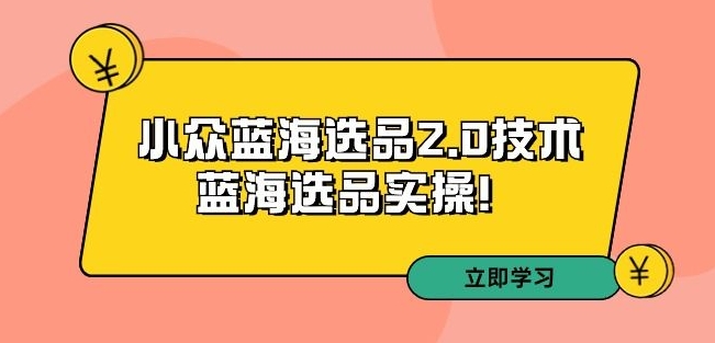 拼多多培训第33期：小众蓝海选品2.0技术-蓝海选品实操！-第二象限