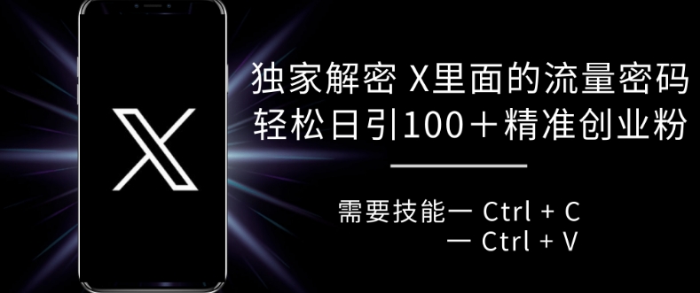 独家解密 X 里面的流量密码，复制粘贴轻松日引100+-第二象限