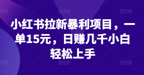 小红书拉新暴利项目，一单15元，日赚几千小白轻松上手【揭秘】-第二象限