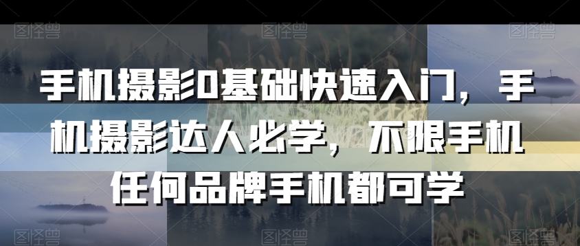 手机摄影0基础快速入门，手机摄影达人必学，不限手机任何品牌手机都可学-第二象限