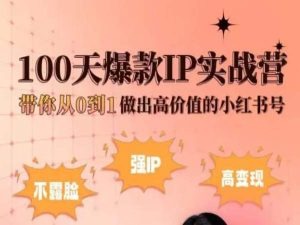小红书100天爆款IP实战营，带你从0到1做出高价值的小红书号-第二象限