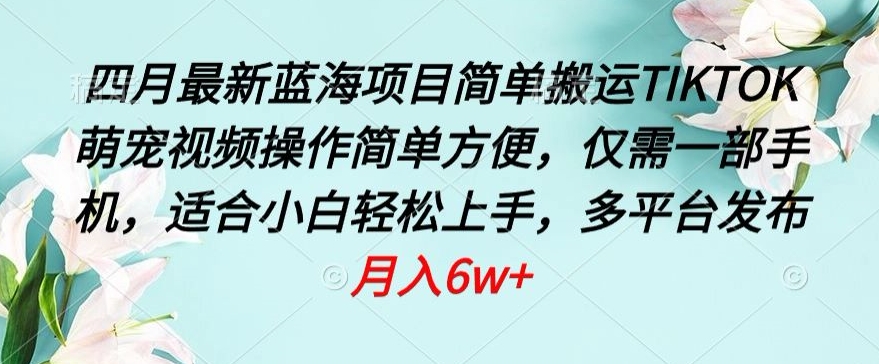 四月最新蓝海项目，简单搬运TIKTOK萌宠视频，操作简单方便，仅需一部手机【揭秘】-第二象限