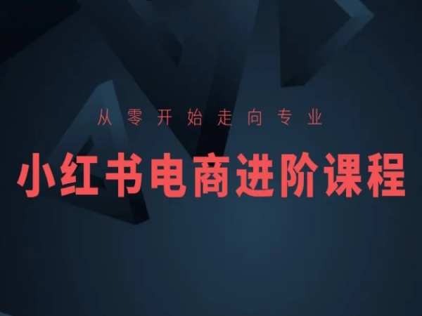 从零开始走向专业，小红书电商进阶课程-第二象限