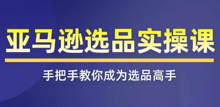 亚马逊选品实操课程，快速掌握亚马逊选品的技巧，覆盖亚马逊选品所有渠道-第二象限