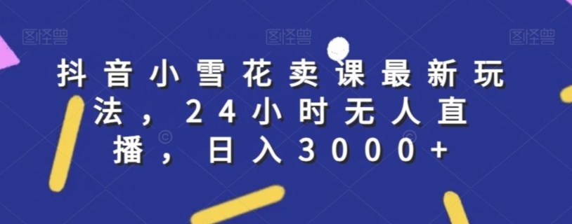 抖音小雪花卖课最新玩法，24小时无人直播，日入3000+【揭秘】-第二象限