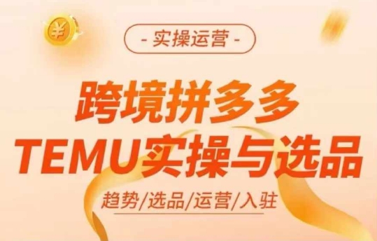 跨境拼多多TEMU实操与选品，多多temu跨境选品运营实操-第二象限