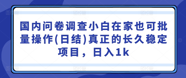 国内问卷调查小白在家也可批量操作(日结)真正的长久稳定项目，日入1k【揭秘】-第二象限