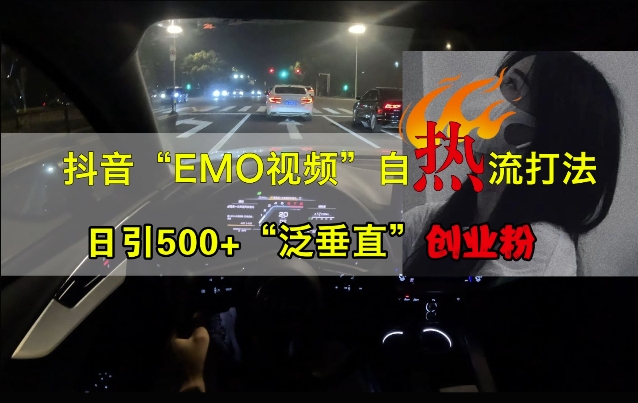 抖音EMO视频自热打法，日引500+“泛垂直”创业粉-第二象限