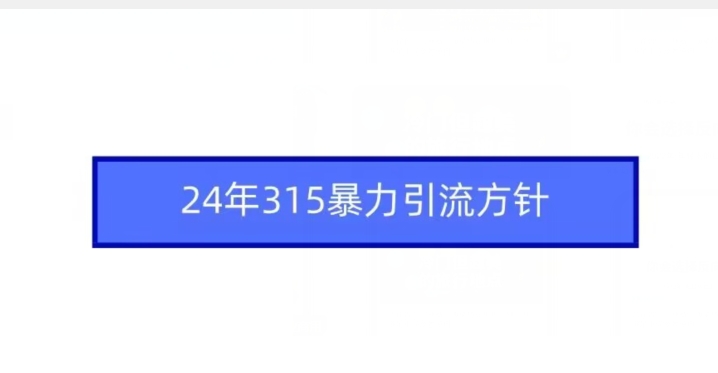 24年315暴力引流方针-第二象限