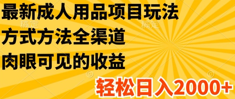 最新成人用品项目玩法，方式方法全渠道，轻松日入2K+【揭秘】-第二象限