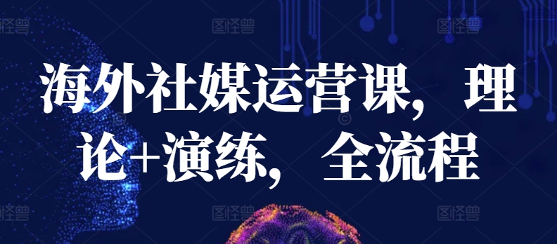 海外社媒运营课，理论+演练，全流程-第二象限