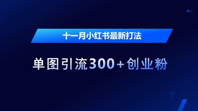 十一月小红书最新打法，单图引流300+创业粉【揭秘】-第二象限