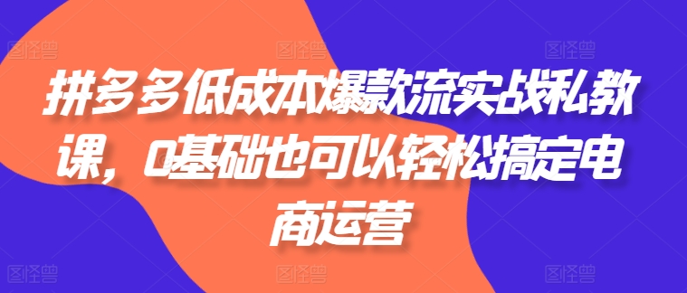 拼多多低成本爆款流实战私教课，0基础也可以轻松搞定电商运营-第二象限