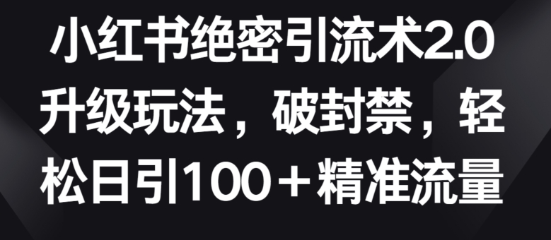 小红书绝密引流术2.0升级玩法，破封禁，轻松日引100+精准流量【揭秘】-第二象限
