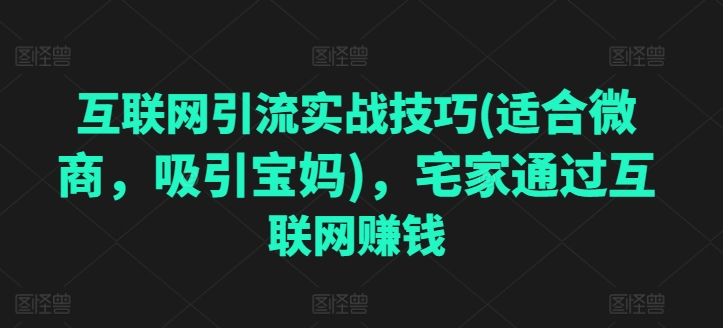 互联网引流实战技巧(适合微商，吸引宝妈)，宅家通过互联网赚钱-第二象限
