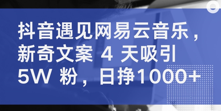 抖音遇见网易云音乐，新奇文案 4 天吸引 5W 粉，日挣1000+【揭秘】-第二象限