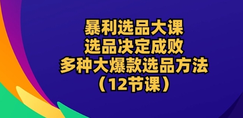 暴利选品大课：选品决定成败，教你多种大爆款选品方法(12节课)-第二象限