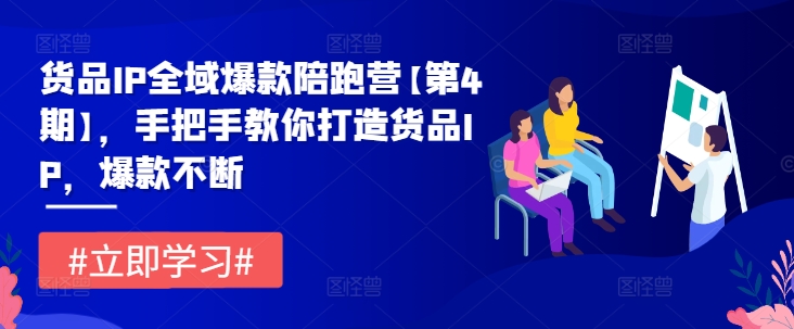 货品IP全域爆款陪跑营【第4期】，手把手教你打造货品IP，爆款不断-第二象限