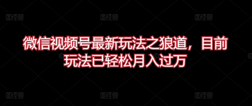 微信视频号最新玩法之狼道，目前玩法已轻松月入过万【揭秘】-第二象限