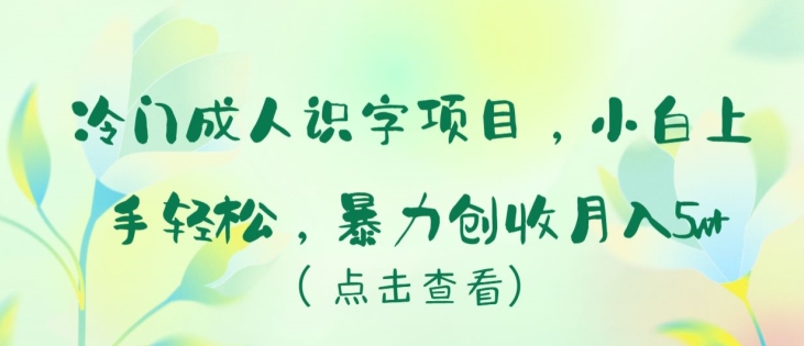 冷门成人识字项目，小白上手轻松，暴力创收月入5w+【揭秘】-第二象限