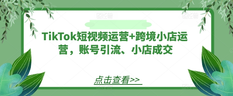 TikTok短视频运营+跨境小店运营，账号引流、小店成交-第二象限
