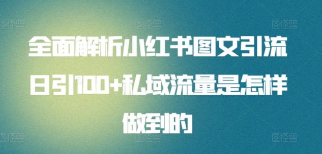 全面解析小红书图文引流日引100+私域流量是怎样做到的【揭秘】-第二象限