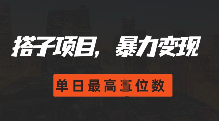 2024搭子玩法，0门槛，暴力变现，单日最高破四位数【揭秘】-第二象限
