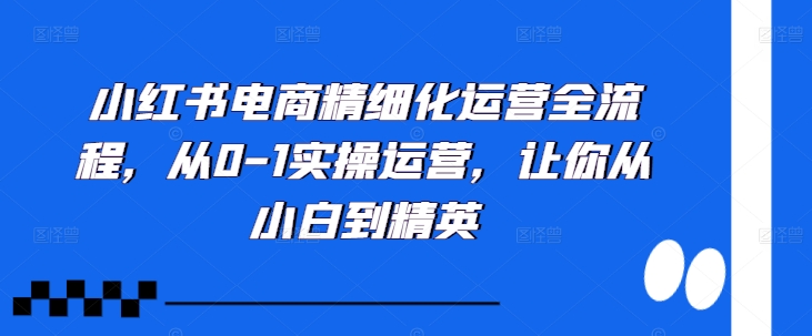 小红书电商精细化运营全流程，从0-1实操运营，让你从小白到精英-第二象限